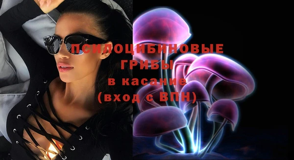 гашик Губаха